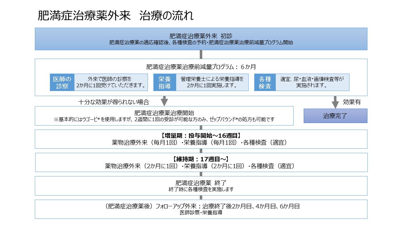 肥満症治療薬外来での治療の流れ